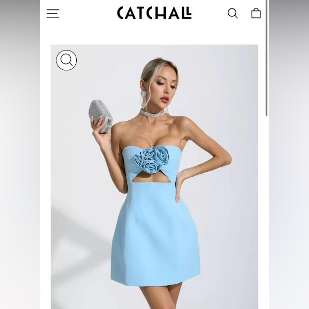 NWT Catchall mini dress blue